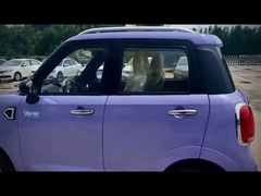 高いコスト パフォーマンスおよび良質の上限の電気four-wheeled車