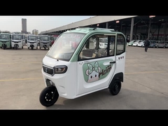 800W乗客の電気三輪車の大人の乗客3の車輪の電気三輪車