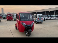 乗用車 電動三輪車 成人 3輪乗用車 電動三輪車