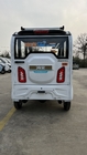 Three Wheeler Mini Electric Pickup Caravan Electric Passenger Trike