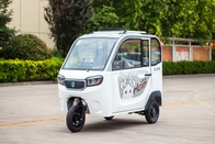 800W Passenger Electric Tricycle Adults Passenger 3 Wheel Electric Tricycle