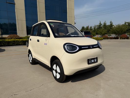 Linglong 3000WD/5000WD New Five-Door Four-Seat Four-Wheeled Electric Vehicle