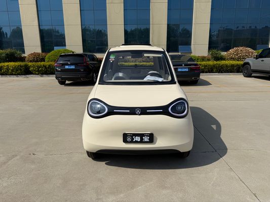 Linglong 3000WD/5000WD New Five-Door Four-Seat Four-Wheeled Electric Vehicle