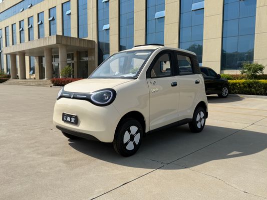 Linglong 3000WD/5000WD New Five-Door Four-Seat Four-Wheeled Electric Vehicle